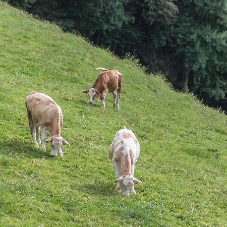 Ferienwohnung Oberrissglueck Schliersee Eksteriør billede
