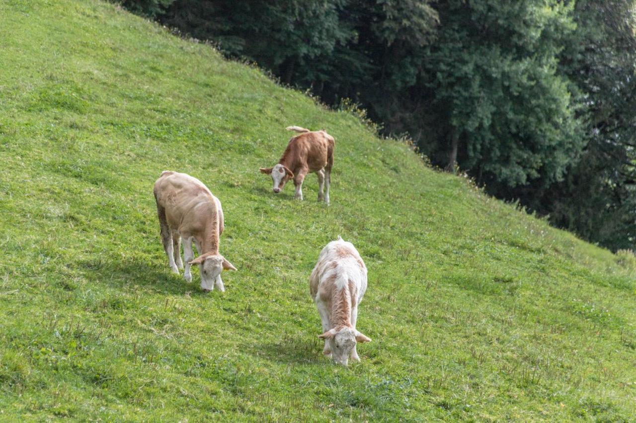 Ferienwohnung Oberrissglueck Schliersee Eksteriør billede